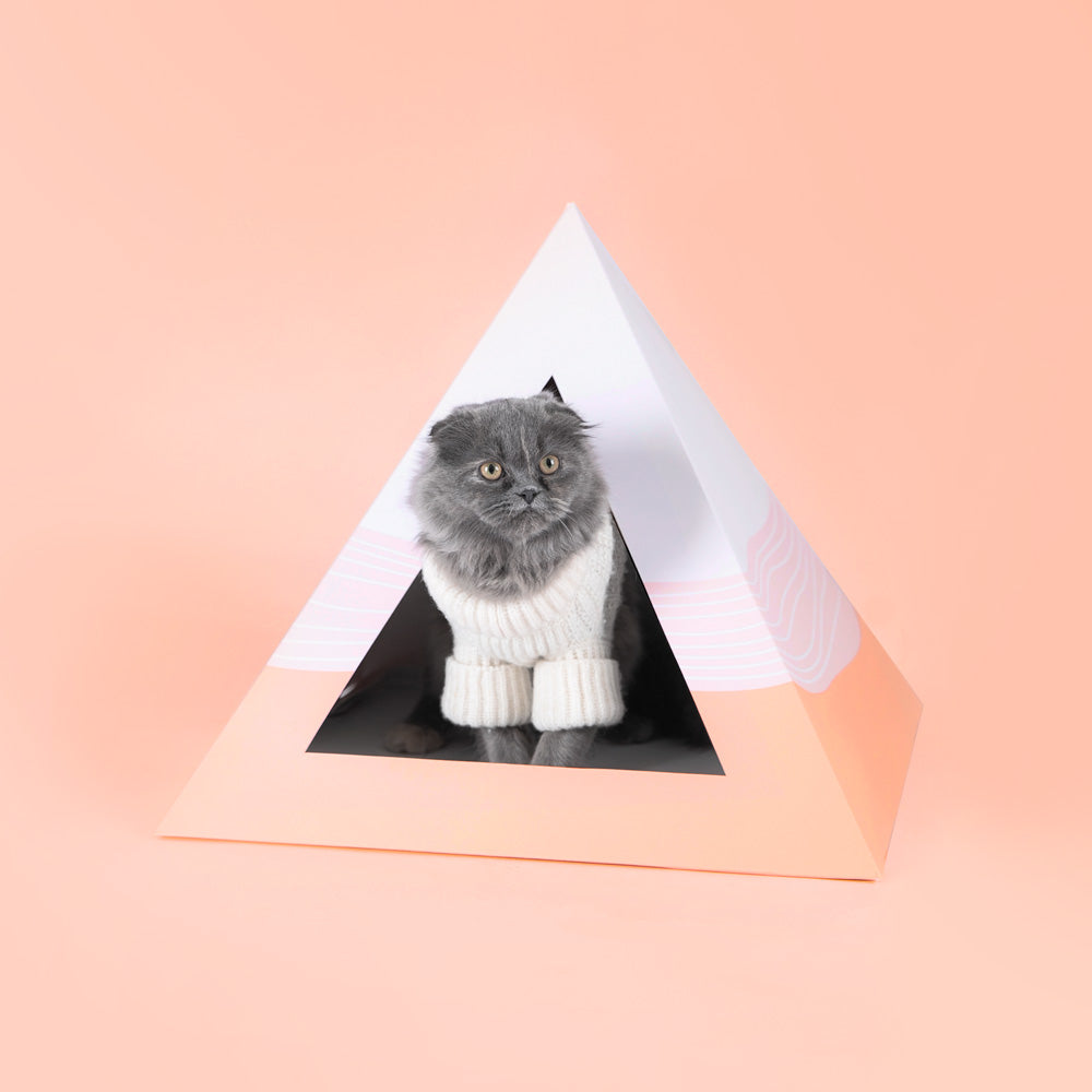 Kitty Kardboard 'Wavey'