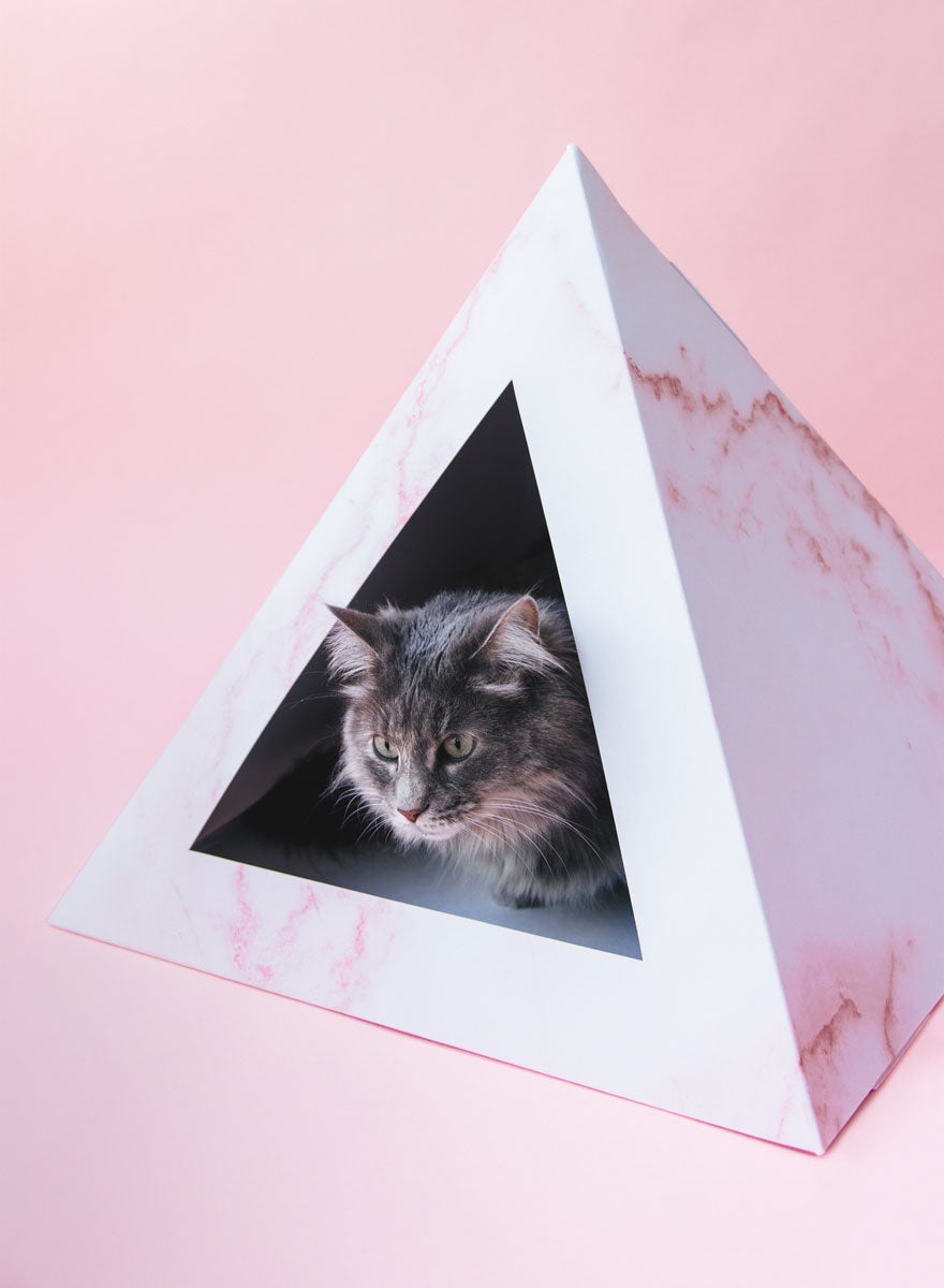 Kitty Kardboard 'Rose Quartz'