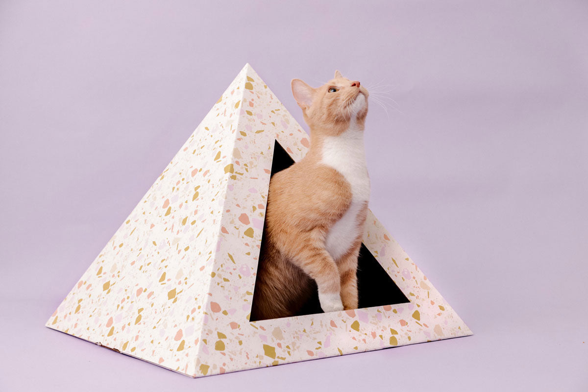 Kitty Karboard 'Terrazzo'