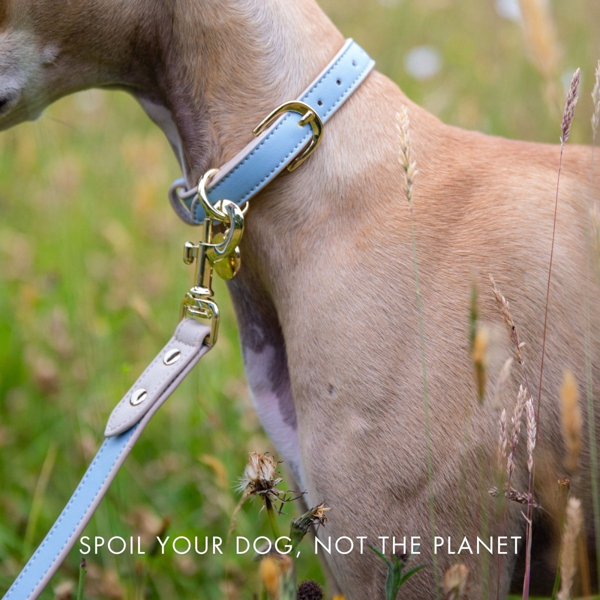 Nina Woof Vegan Leather Leash