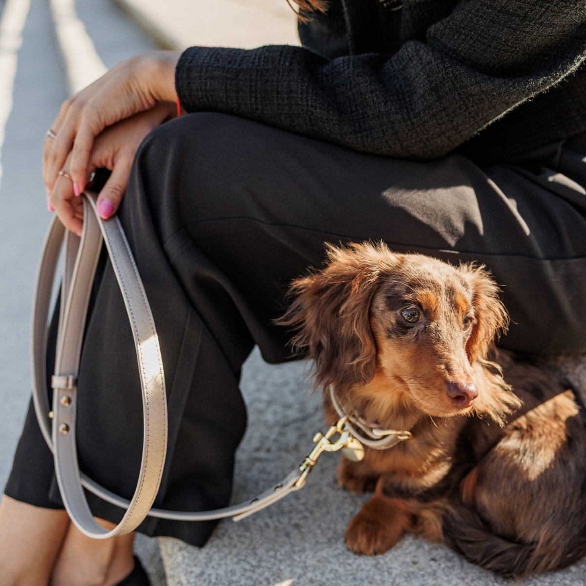 Nina Woof Vegan Leather Leash