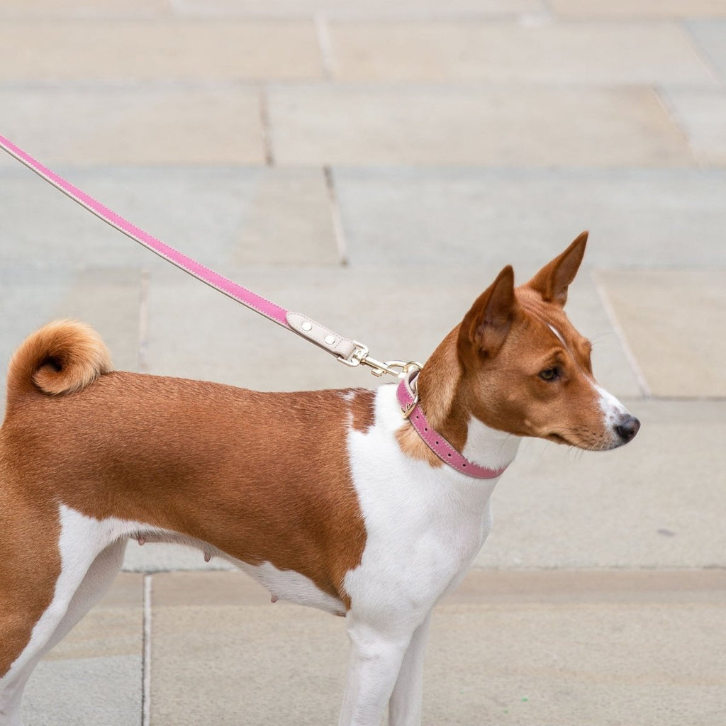 Nina Woof Vegan Leather Leash