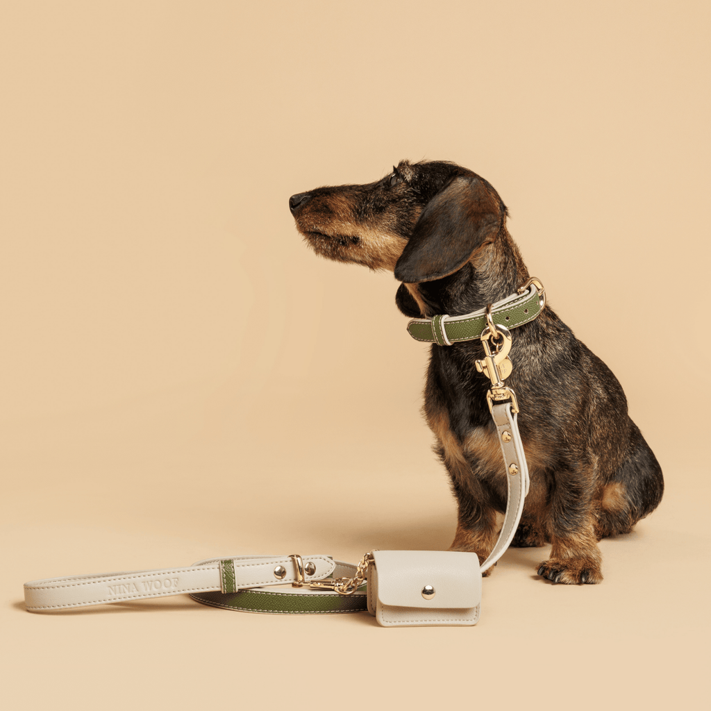 Nina Woof Vegan Leather Leash
