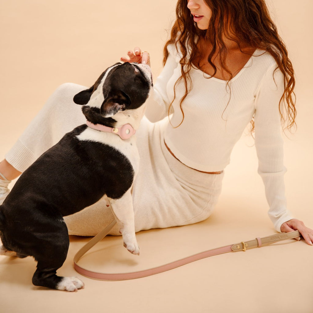 Nina Woof Vegan Leather - Cupertino Leash