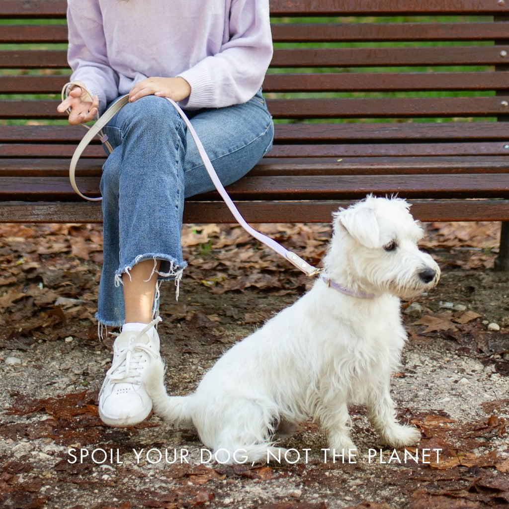Nina Woof Vegan Leather - London Collar