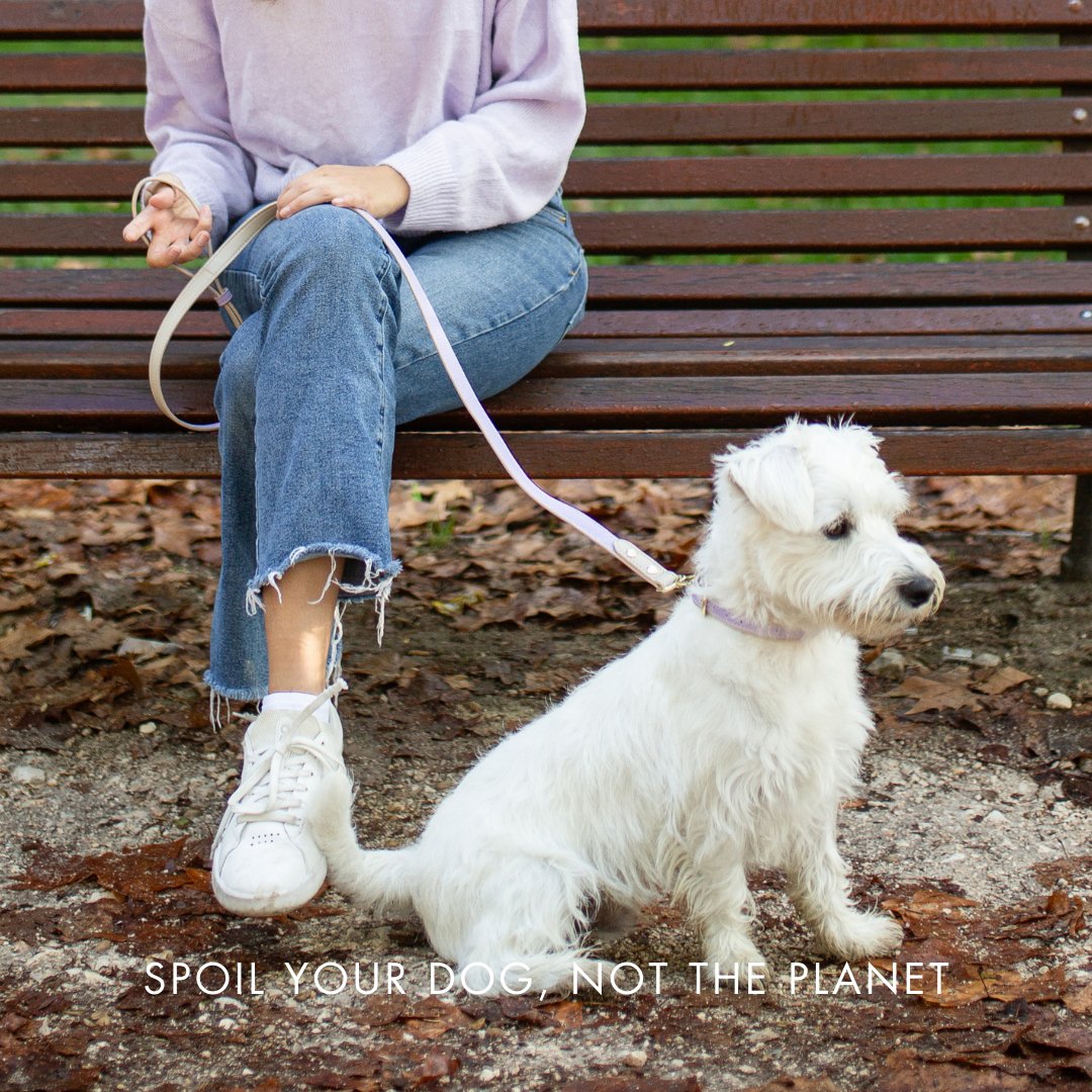 Nina Woof Vegan Leather - London Collar