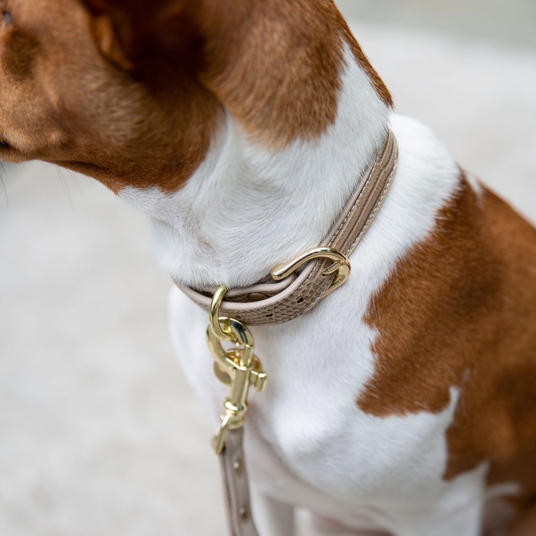 Nina Woof Vegan Leather - Milan Collar