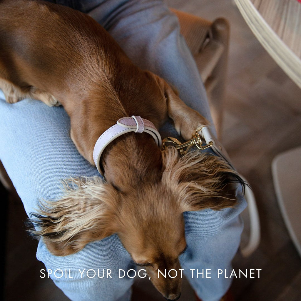 Nina Woof Vegan Leather - Milan Collar