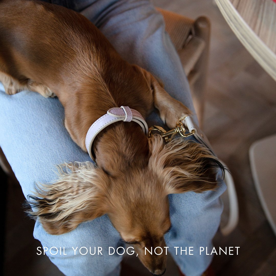 Nina Woof Vegan Leather - Milan Collar