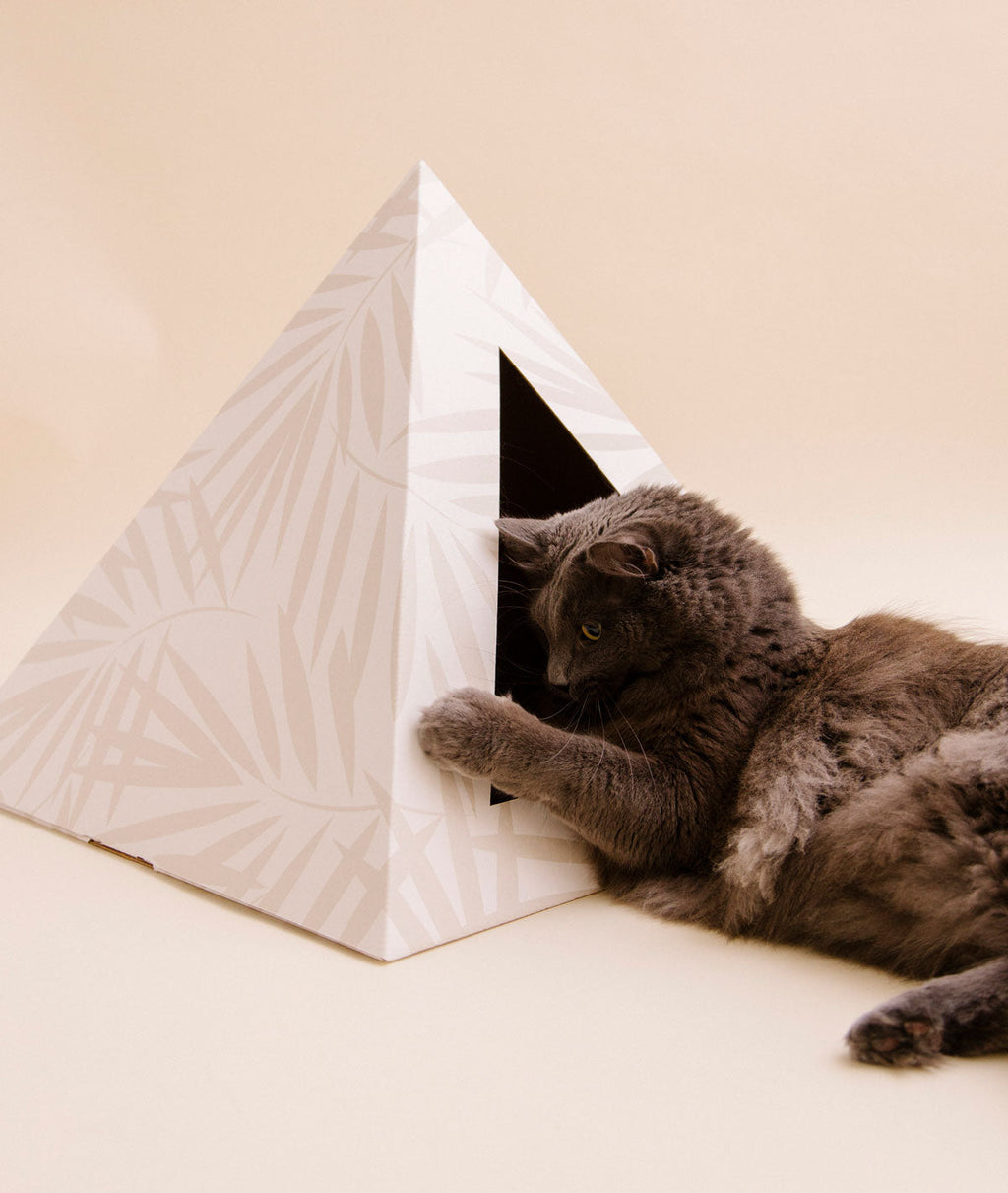 Kitty Kardboard 'Neutral Palm'