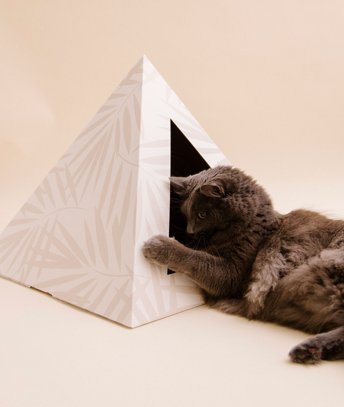 Kitty Kardboard 'Neutral Palm'