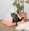 Kitty Kardboard 'Wavey'