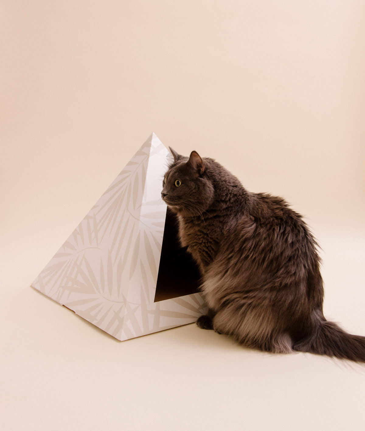 Kitty Kardboard 'Neutral Palm'