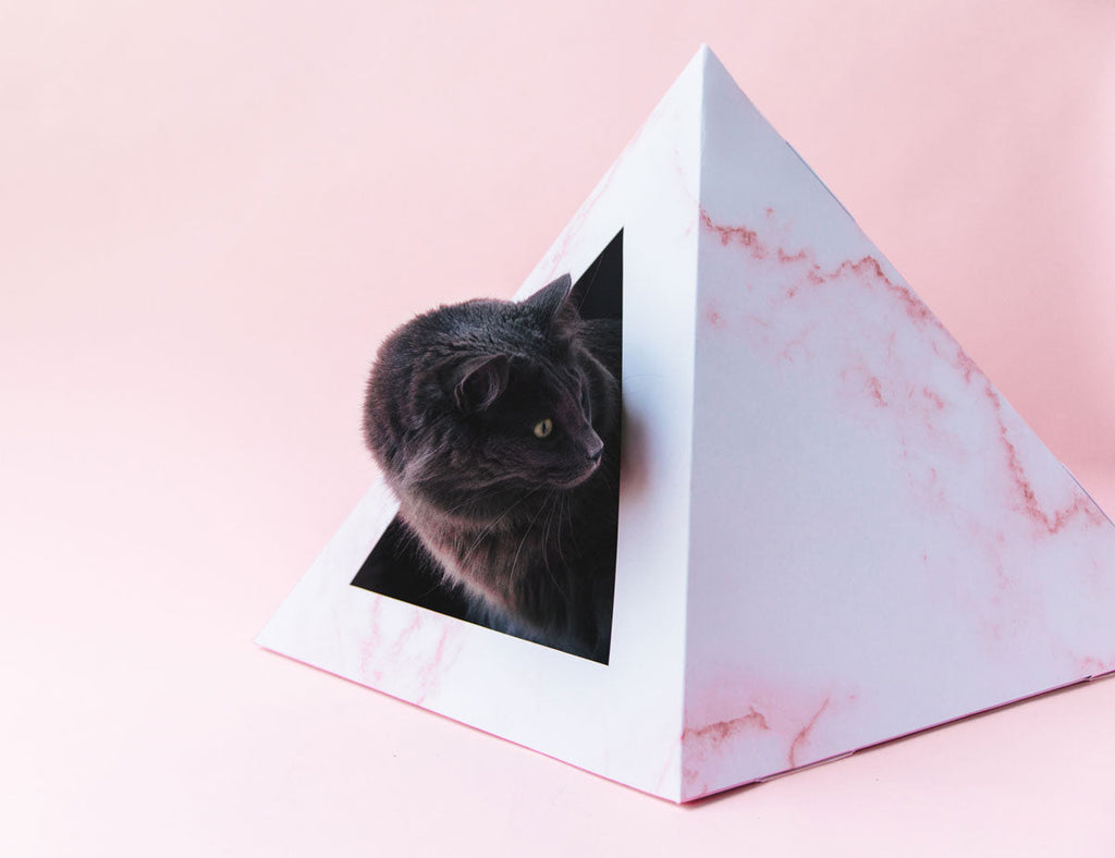 Kitty Kardboard 'Rose Quartz'