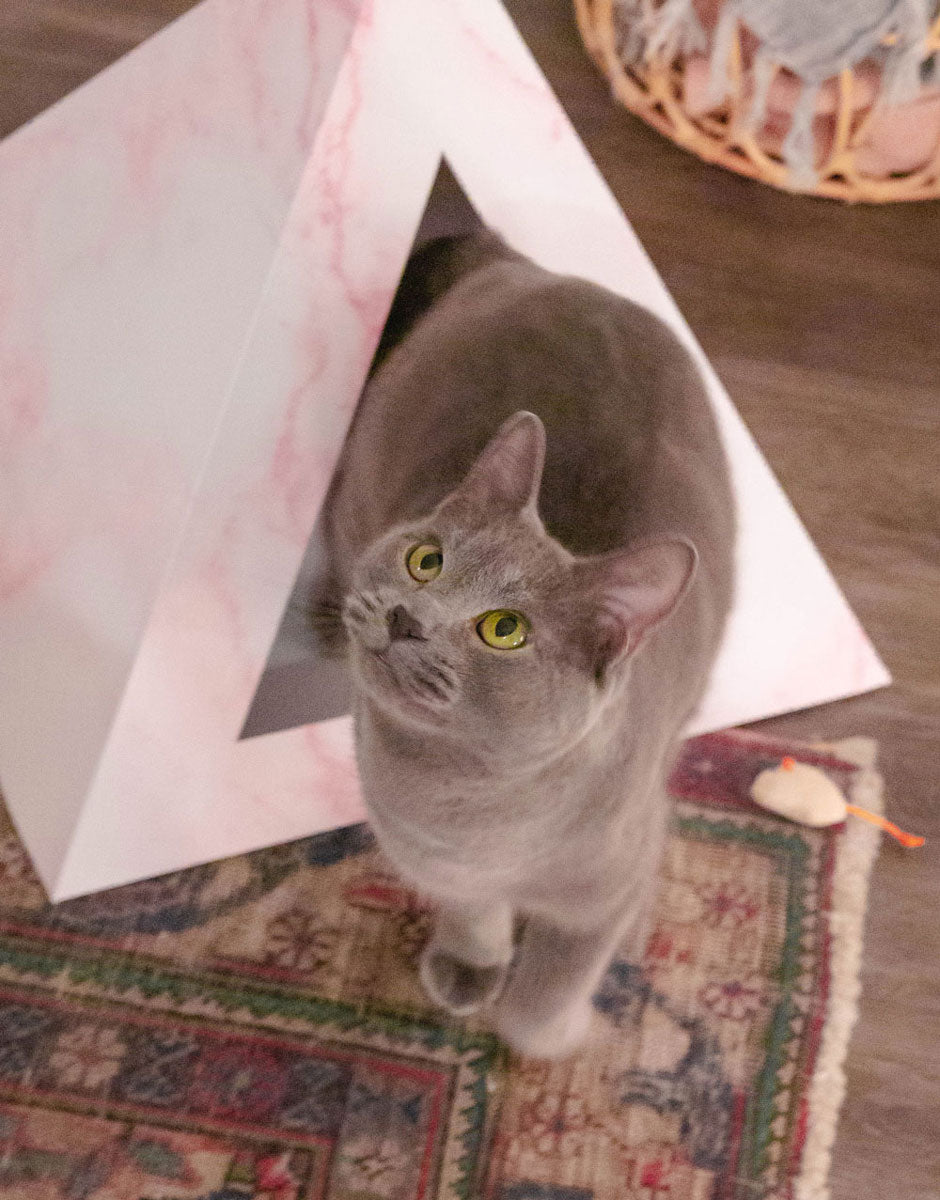 Kitty Kardboard 'Rose Quartz'