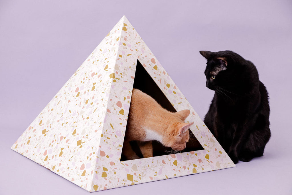 Kitty Karboard 'Terrazzo'