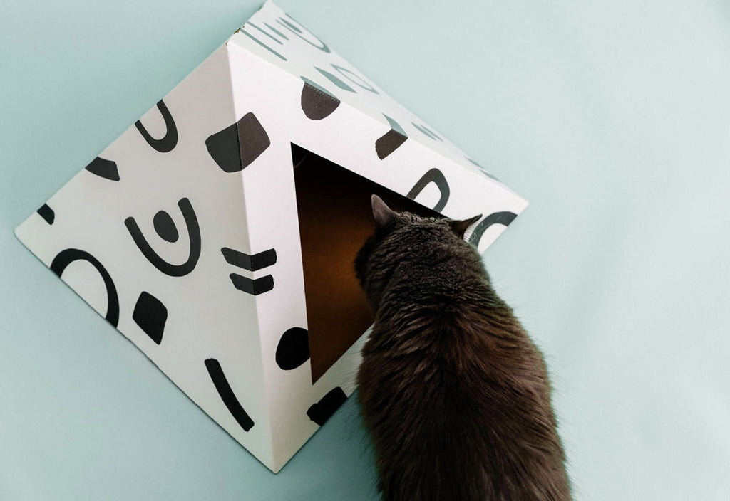 Kitty Kardboard 'Doodle'