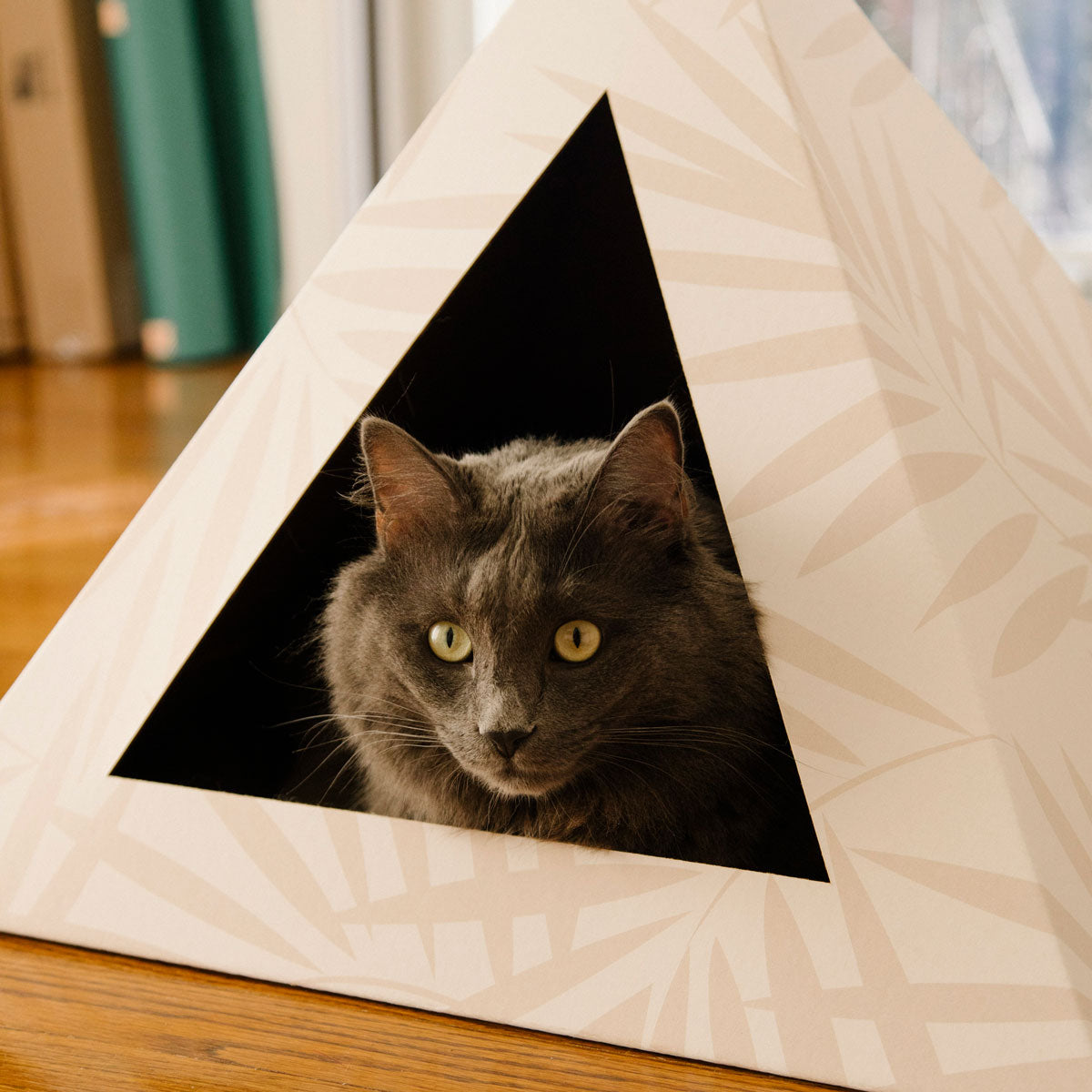 Kitty Kardboard 'Neutral Palm'