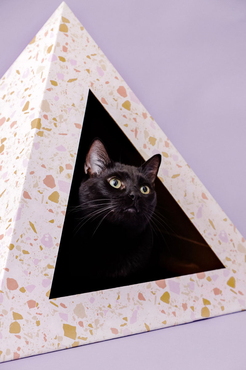 Kitty Karboard 'Terrazzo'