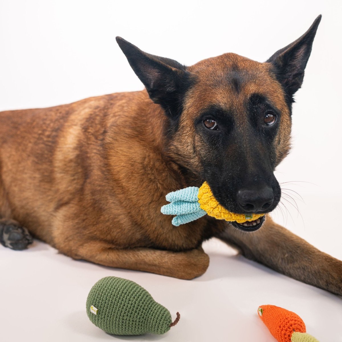 Nina Woof Organic Veggie Toys Bundle
