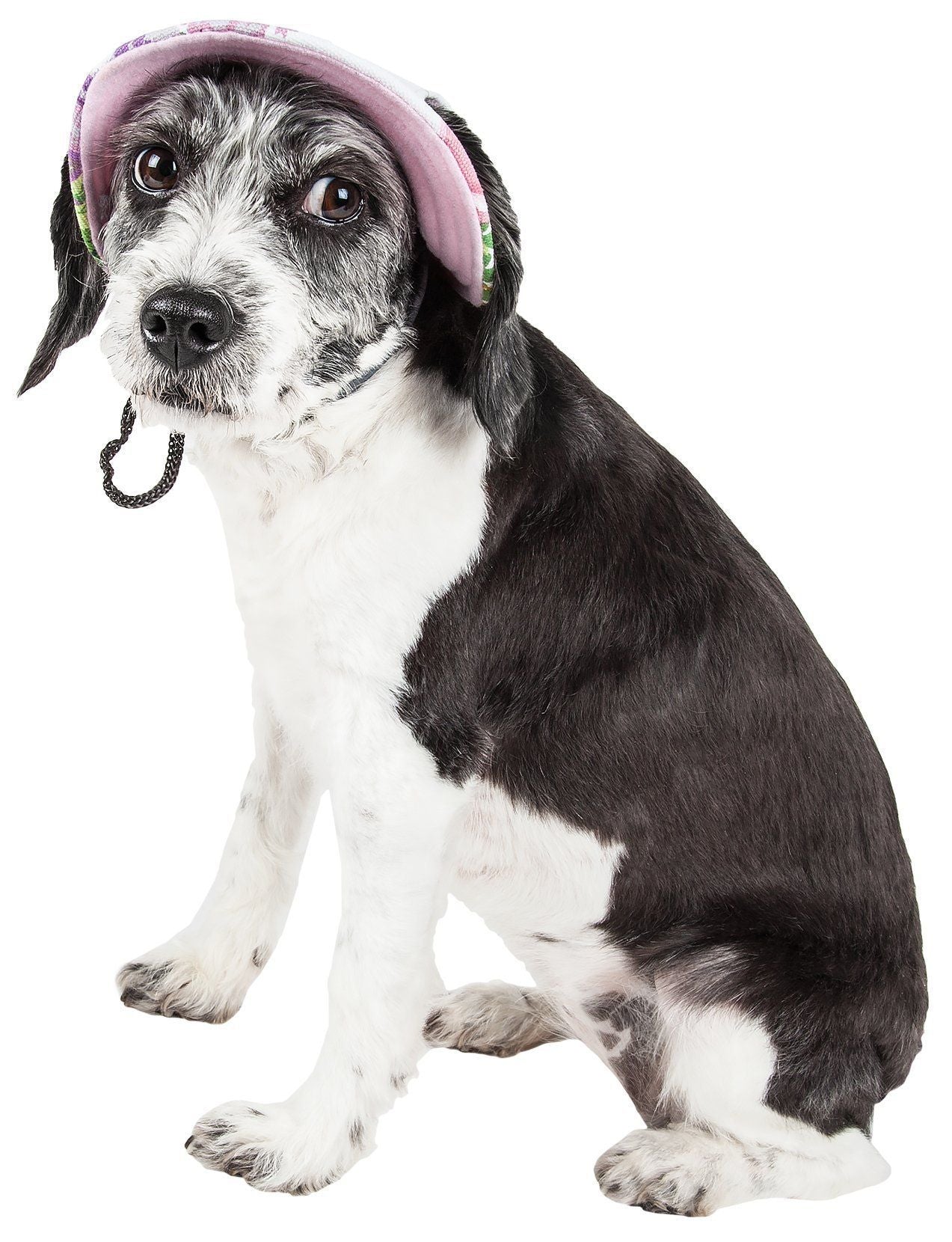 Adjustable Fashion Canopy Dog Hat Cap