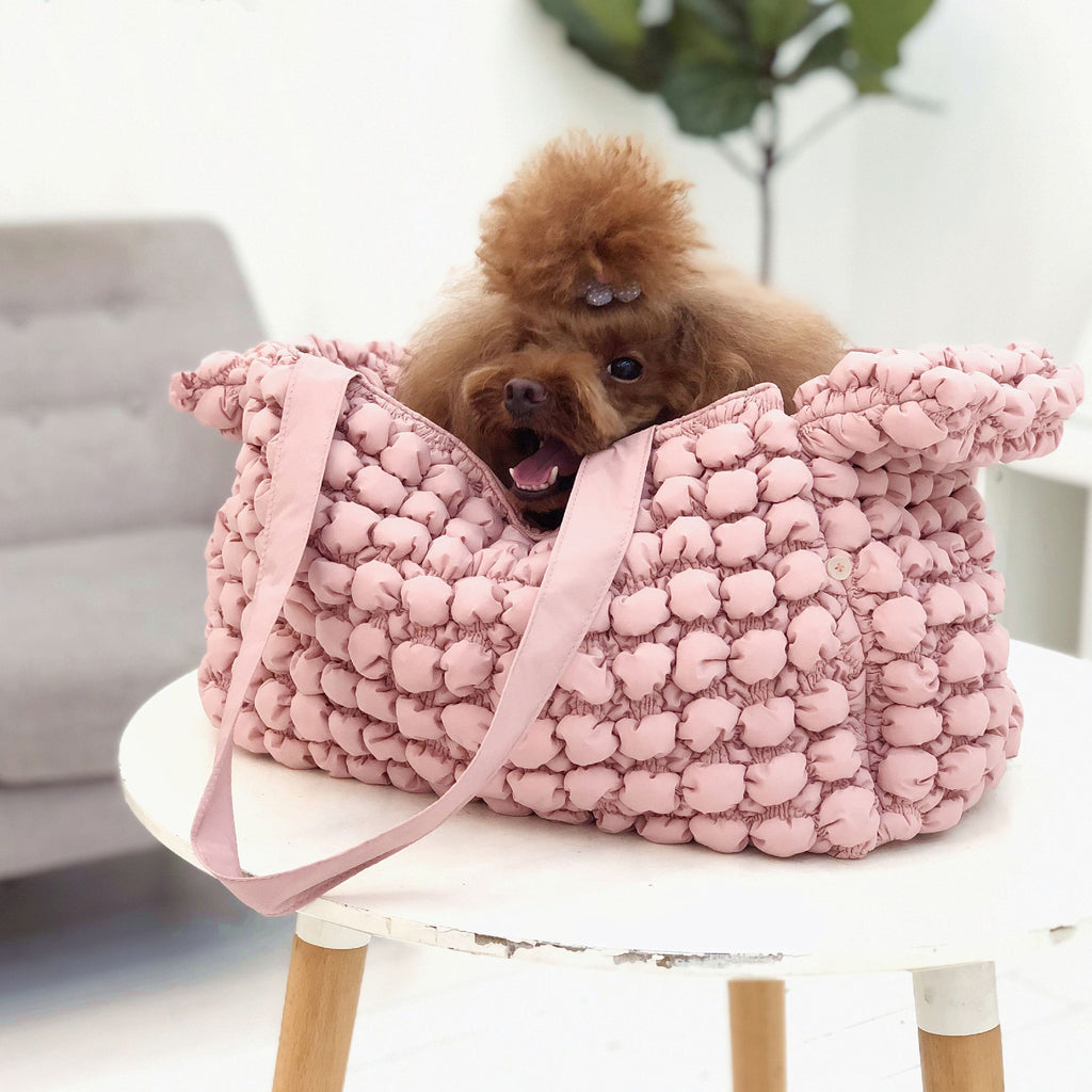 Fashion Designer Pet Carrier