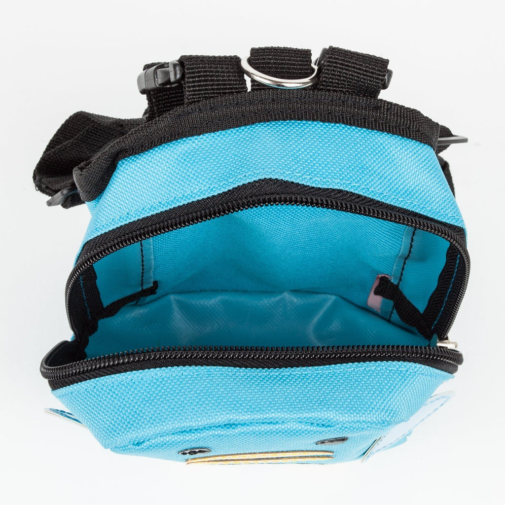 Fashion Dog Harness Backpack