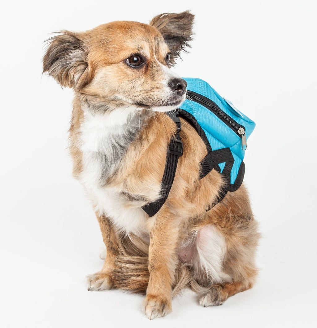 Fashion Dog Harness Backpack