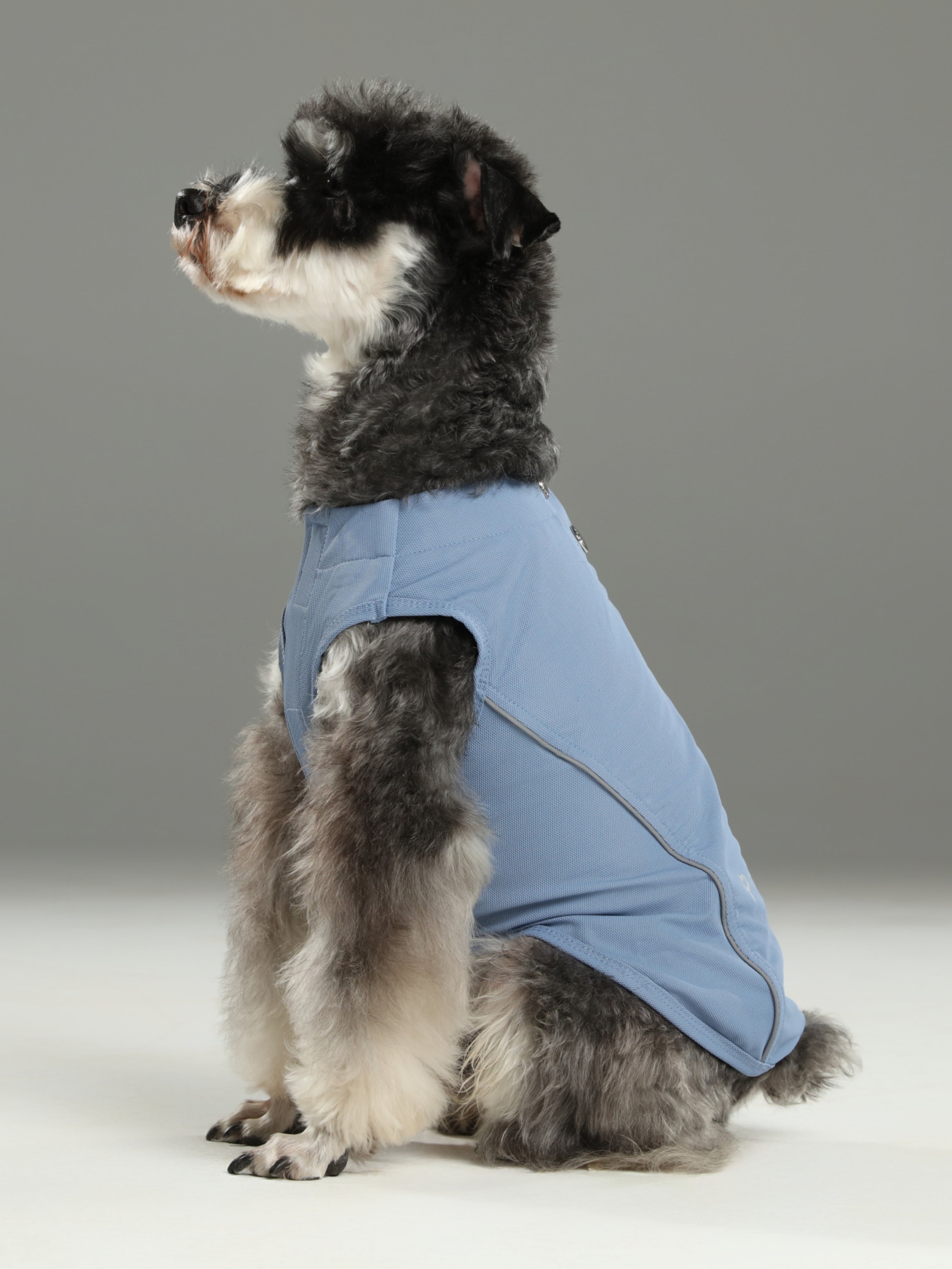 Chill Vest Shirt- Blue