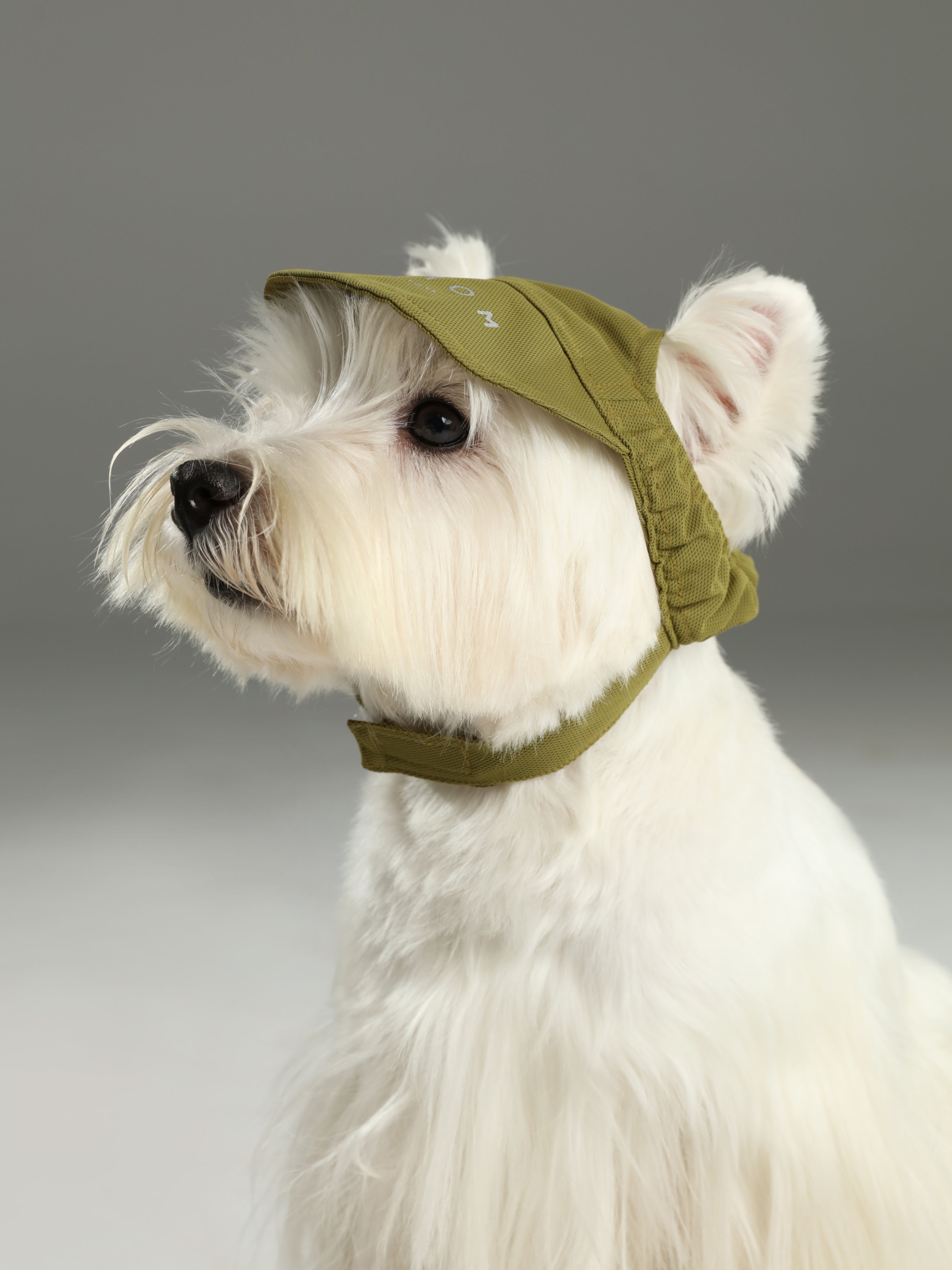 Tennis Green Hat