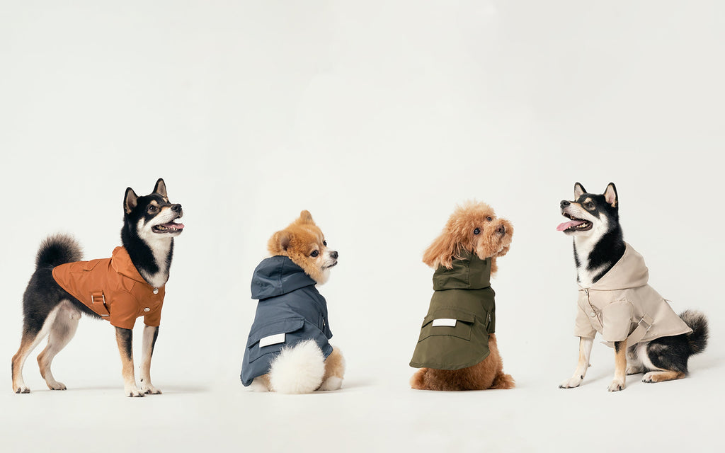 Blue Bowery Raincoat