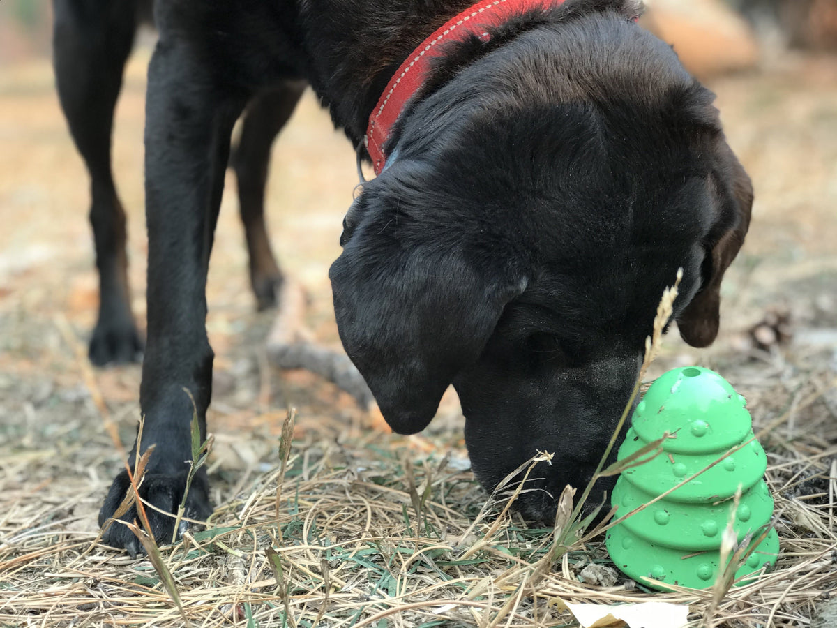 Christmas Tree Dog Toy