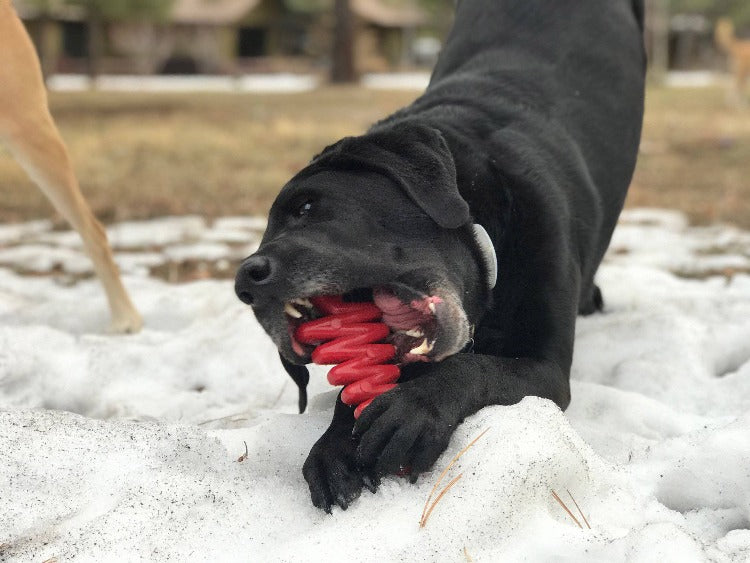 Durable Christmas Tree Chew Toy