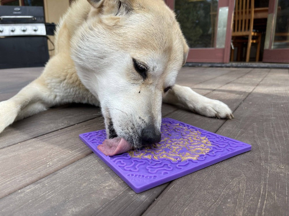 Enrichment Lick Mat for Cats