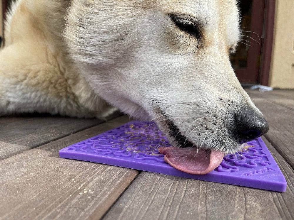 Enrichment Lick Mat for Cats