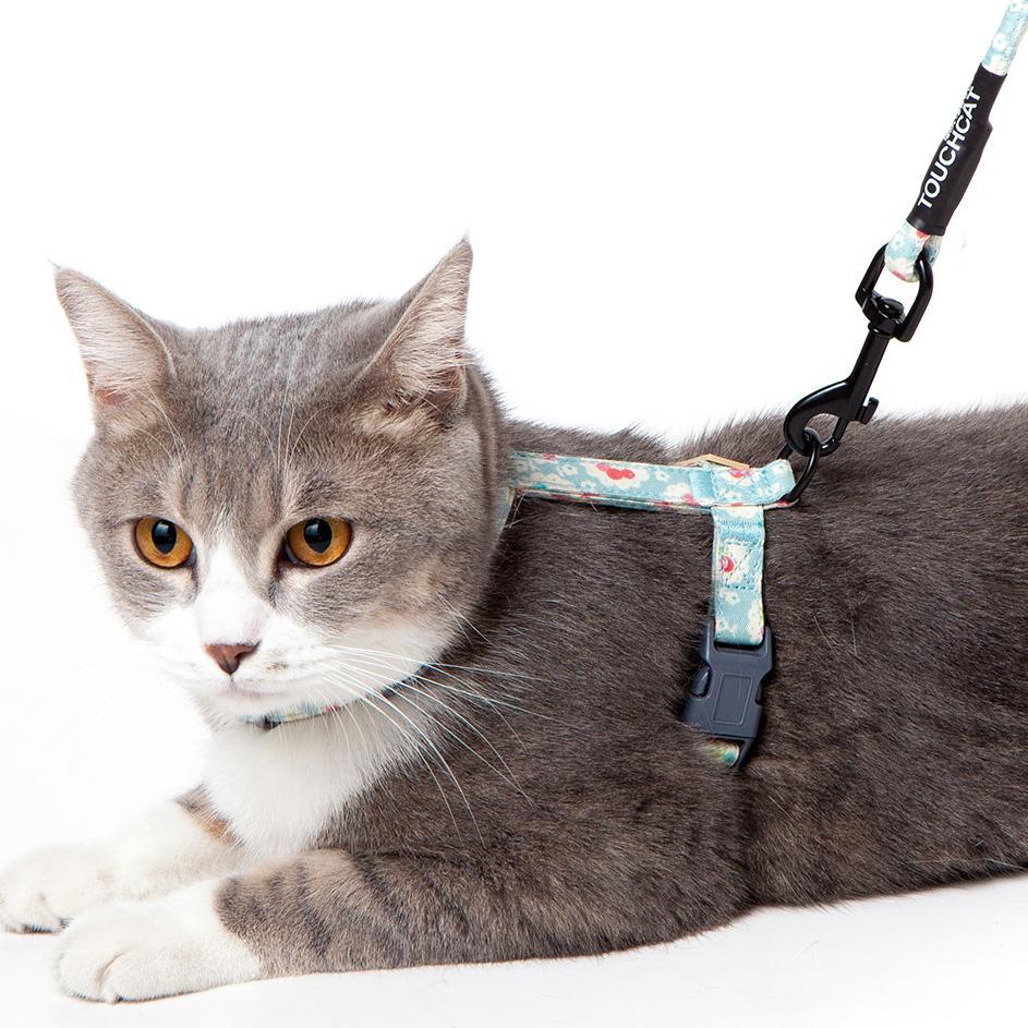 Touchcat 'Radi-Claw' Cable Cat Harness and Leash Set