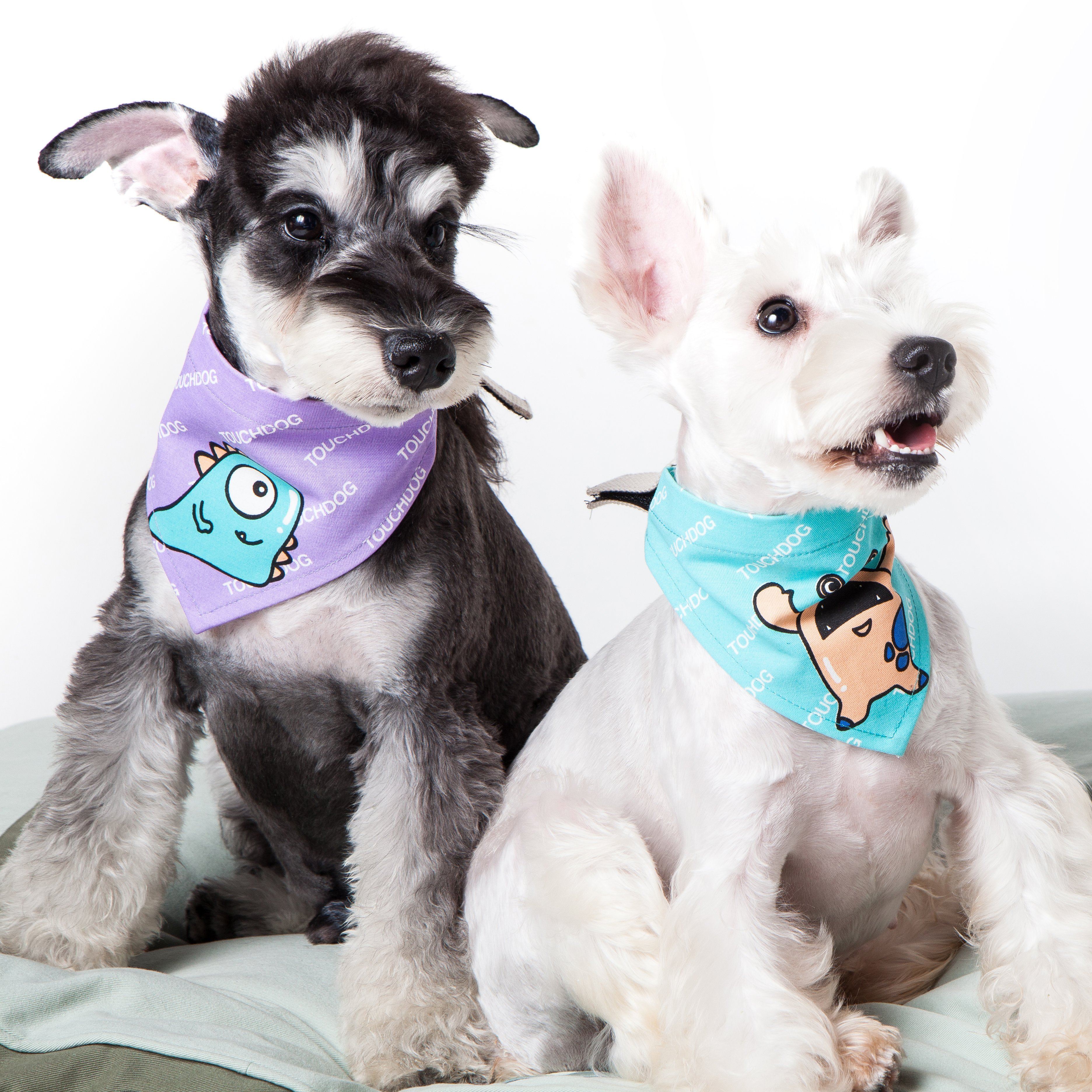 Star Hook-and-Loop Fashion Dog Bandana