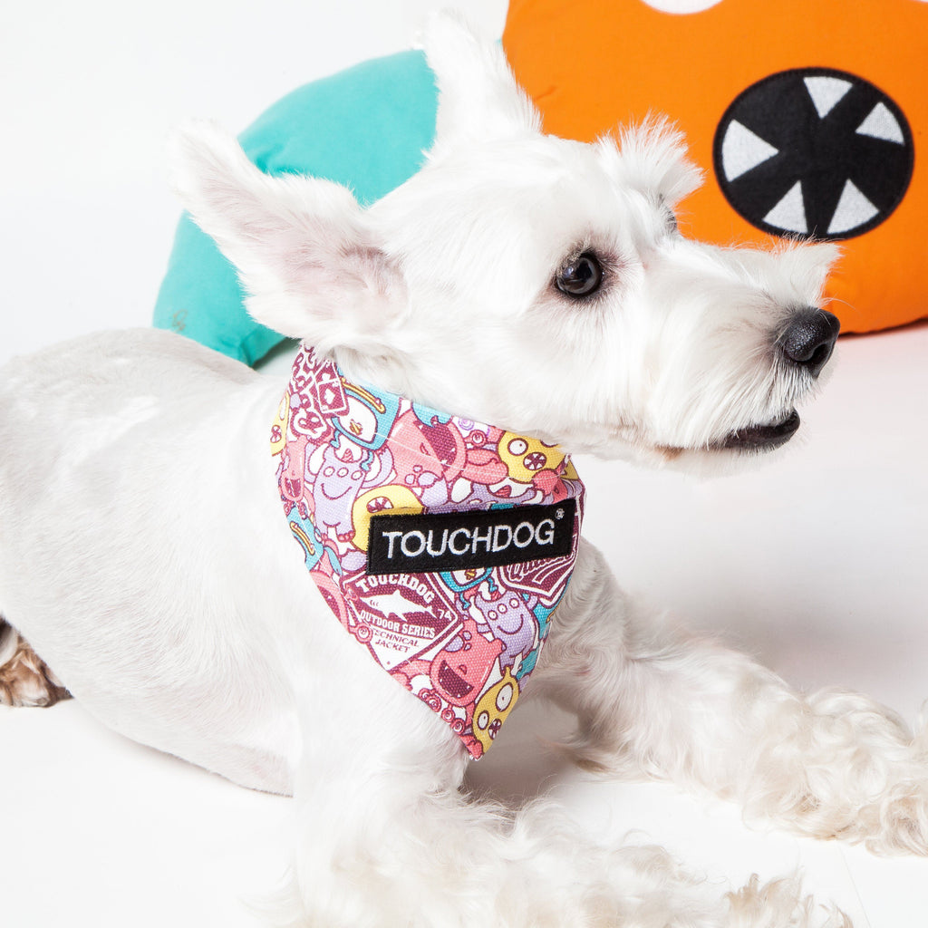 Star Hook-and-Loop Fashion Dog Bandana