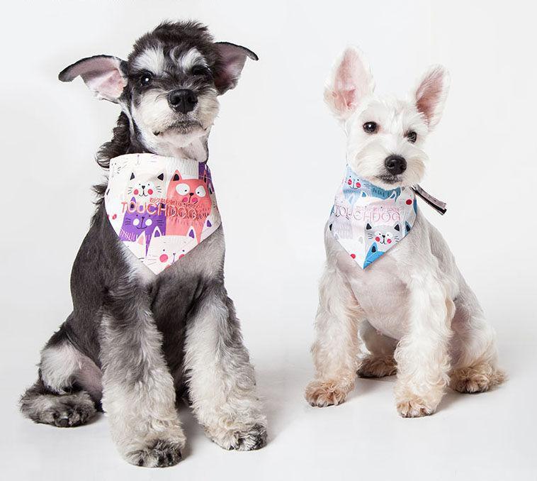 'Head-Popper' Hook-and-Loop Dog Bandana