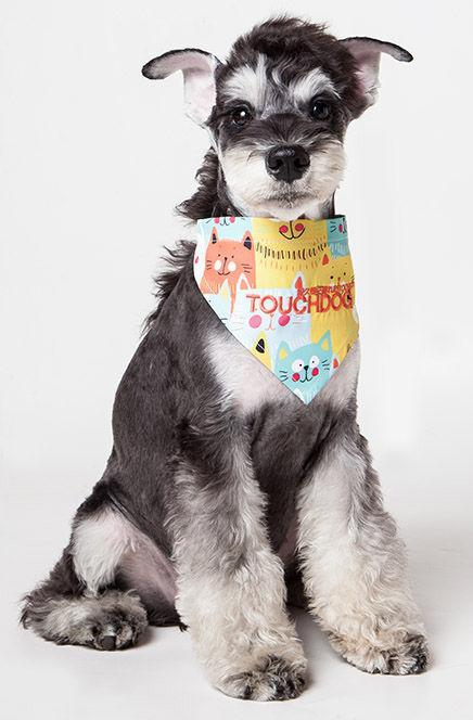 'Head-Popper' Hook-and-Loop Dog Bandana