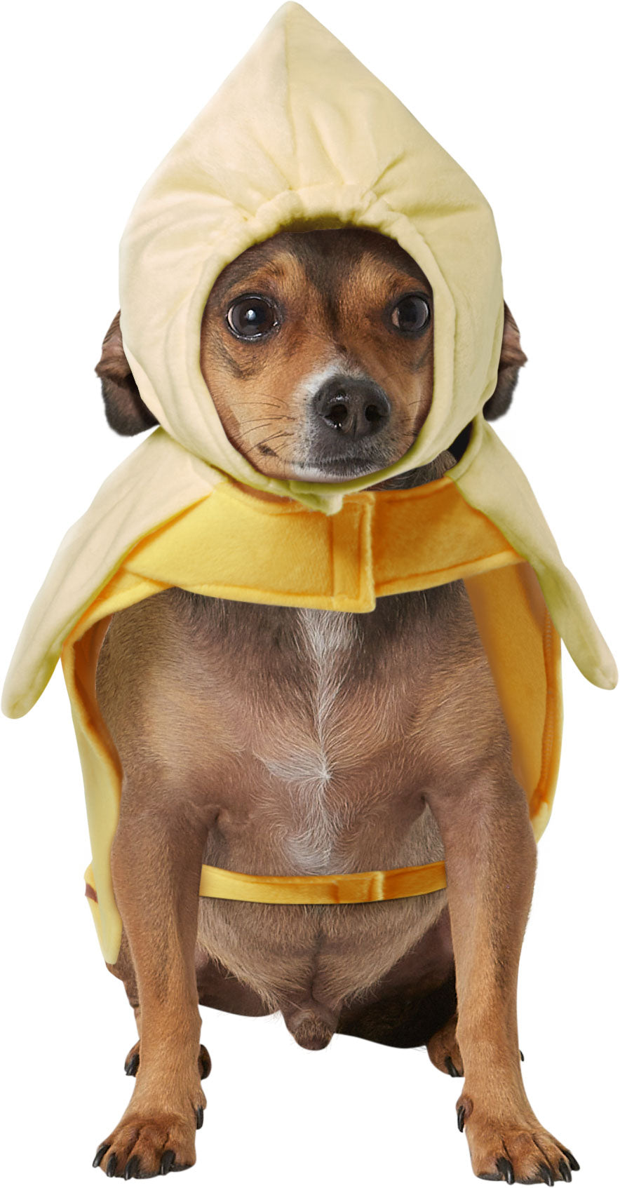 Banana Costume