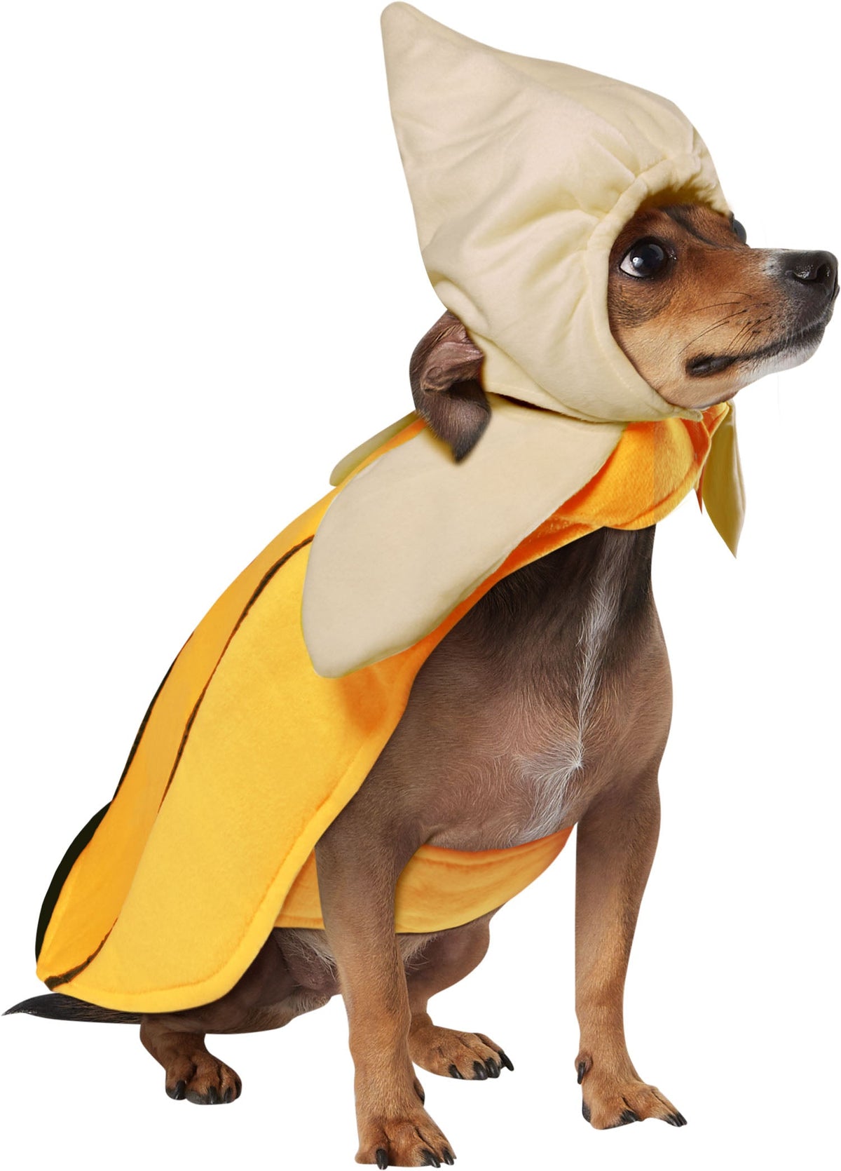 Banana Costume