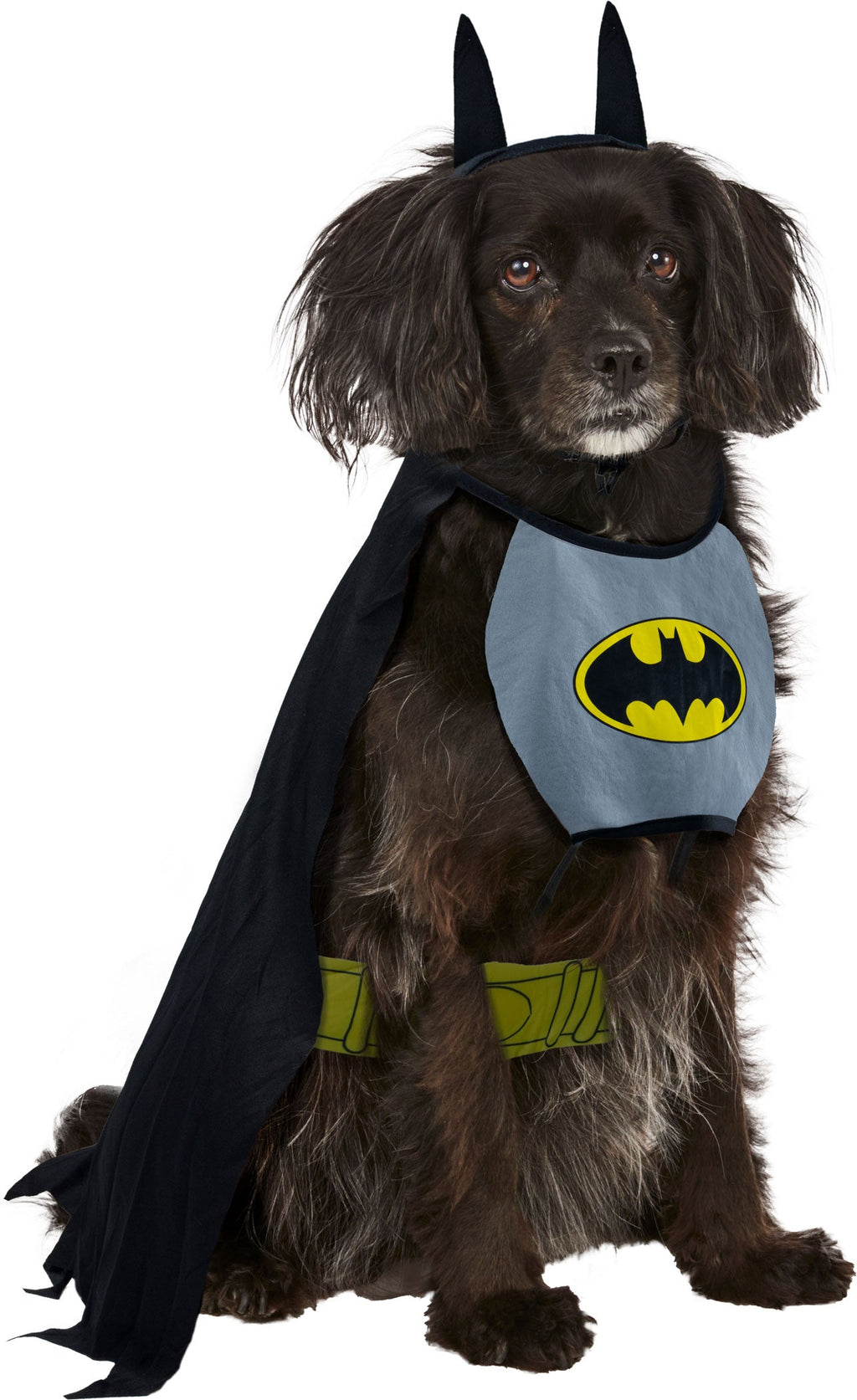 Iconic Batman Costume