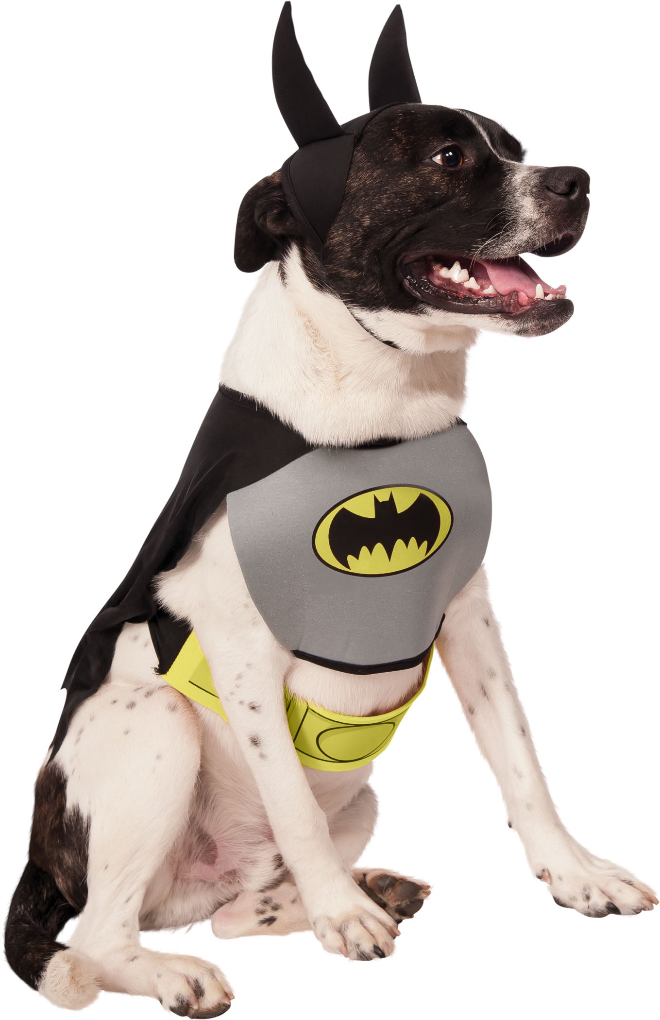 Iconic Batman Costume