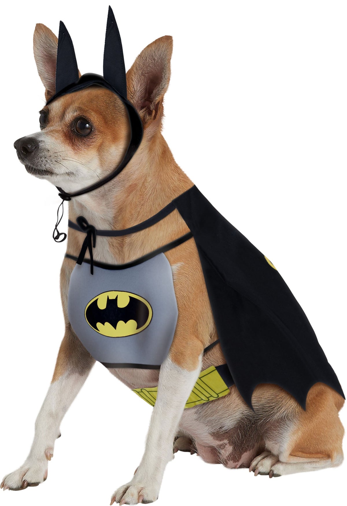 Iconic Batman Costume