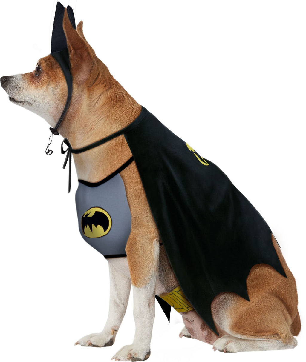 Iconic Batman Costume
