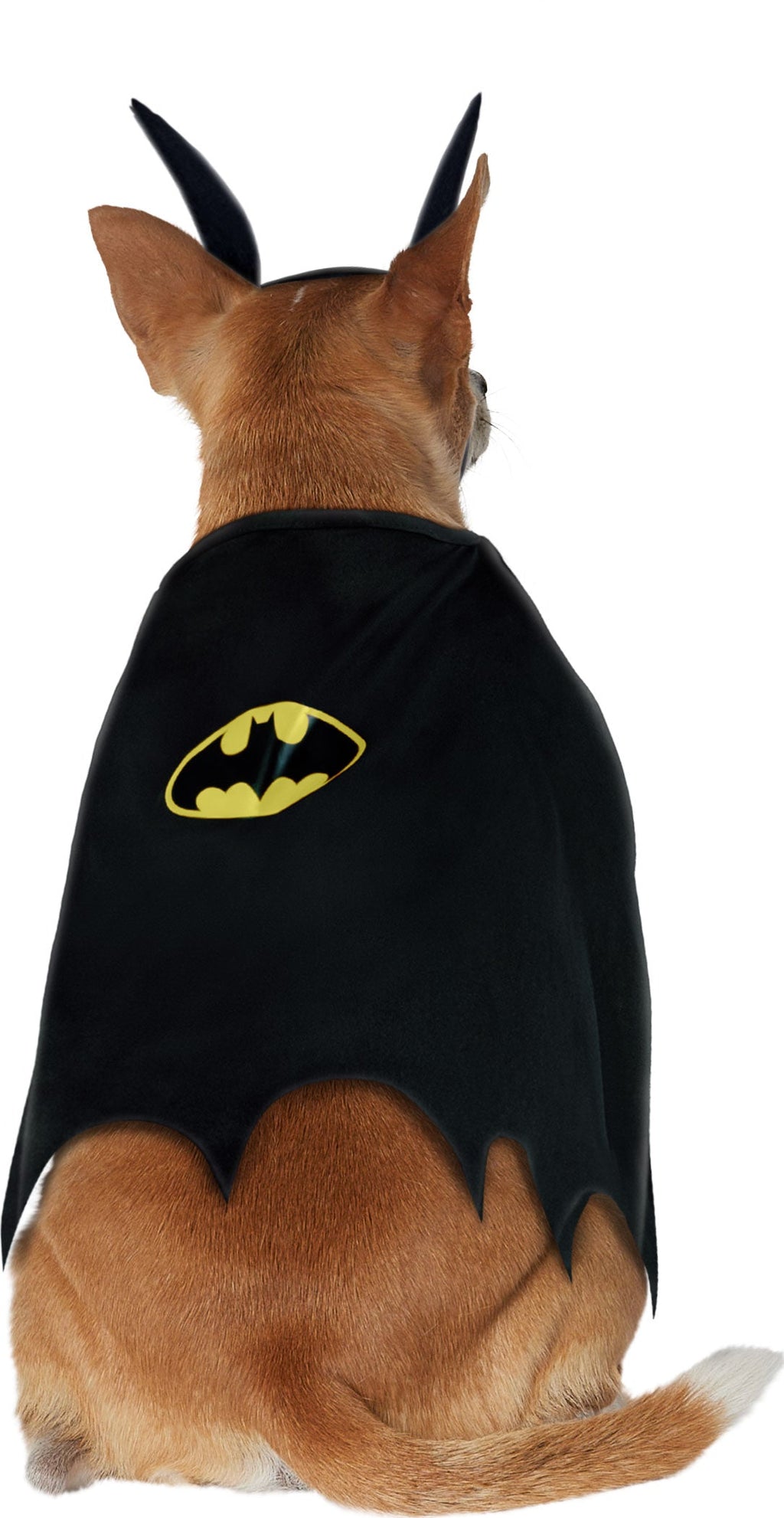 Iconic Batman Costume