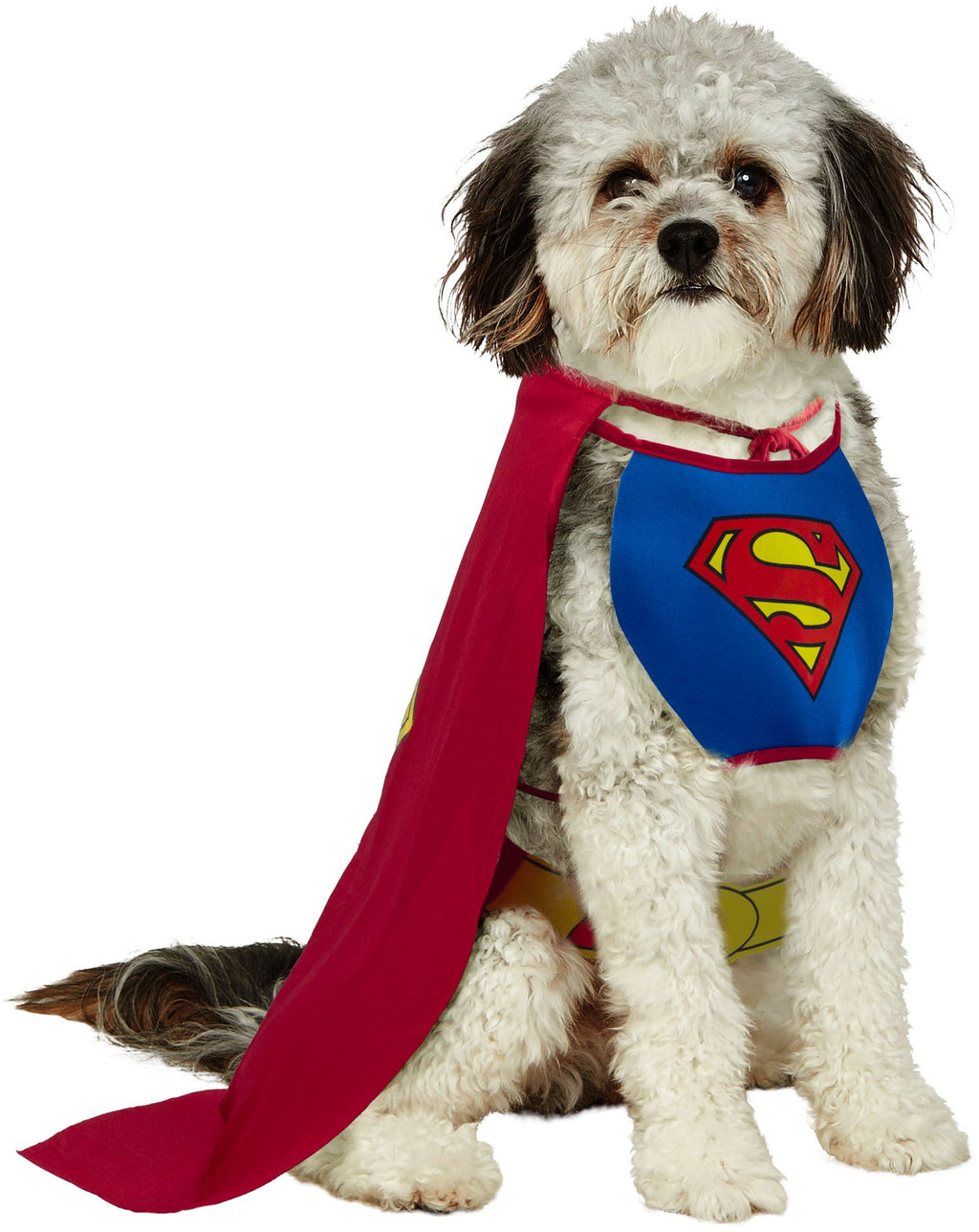 Superman Pet Costume