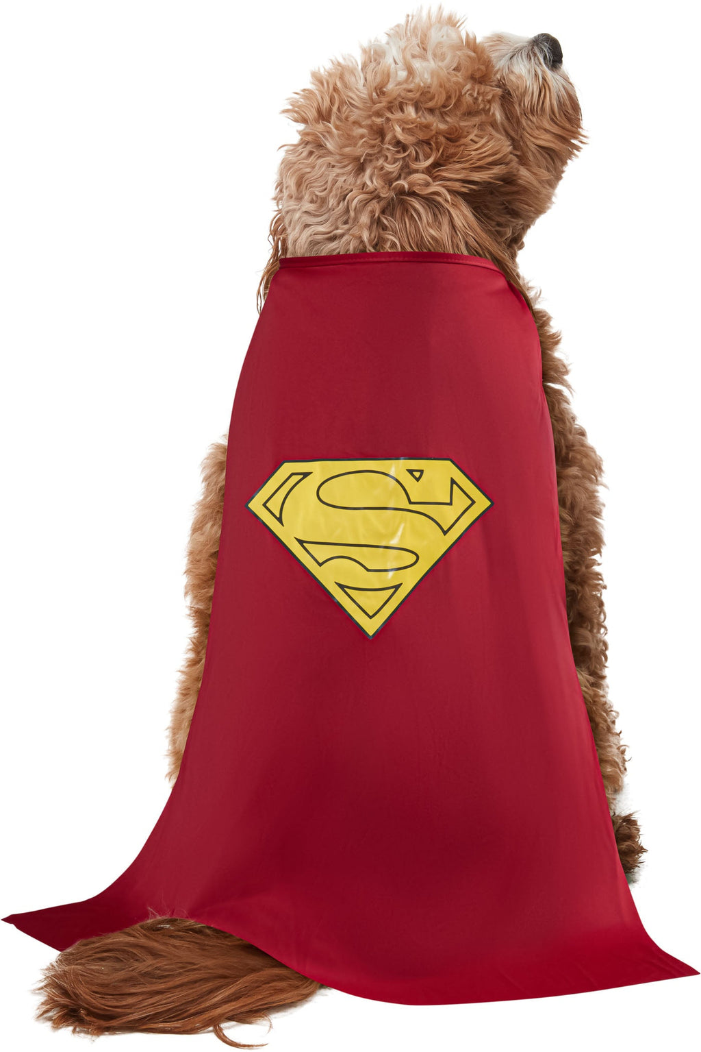 Superman Pet Costume