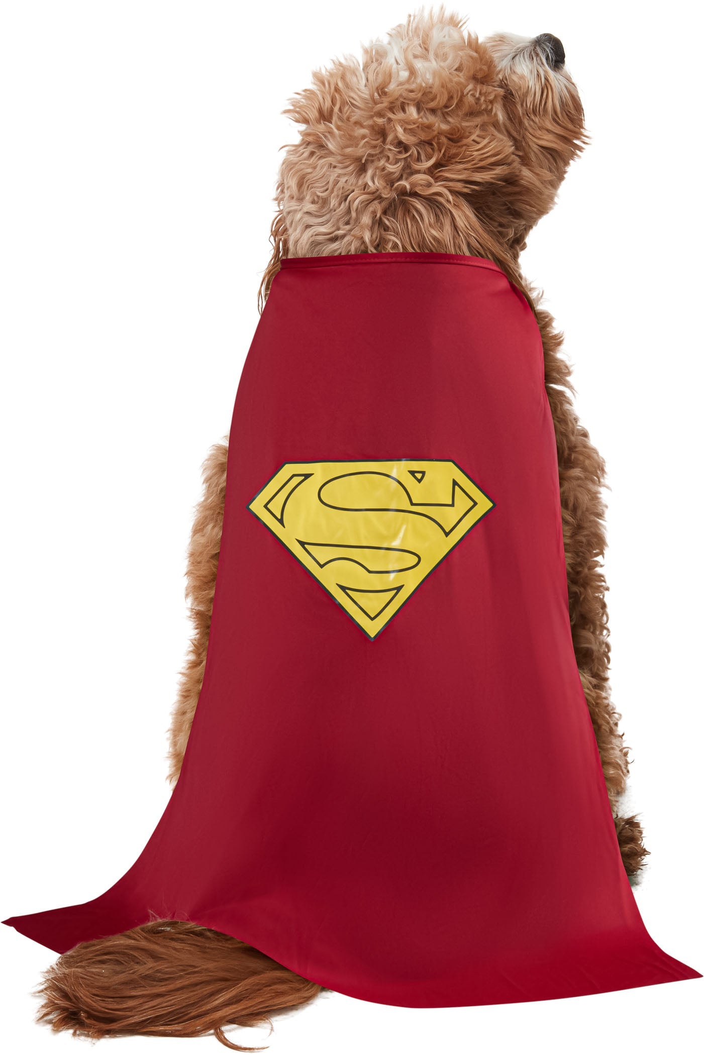 Superman Pet Costume